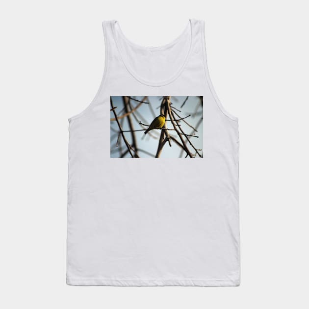 Golden Finch in Tree Palm Desert California Tank Top by ButterflyInTheAttic